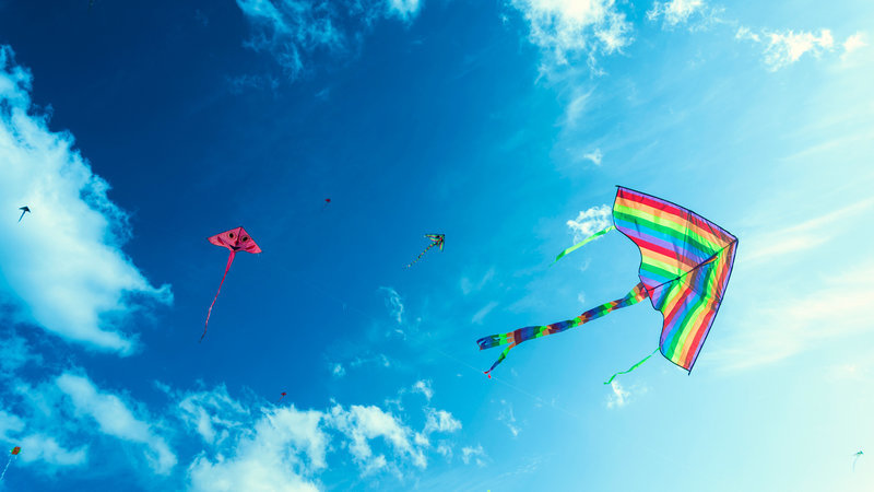 trh joy artwork wide