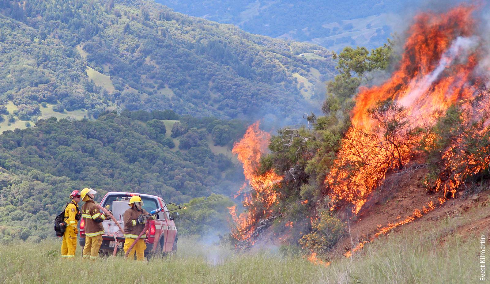 chaparral burn hopland evett kilmartin