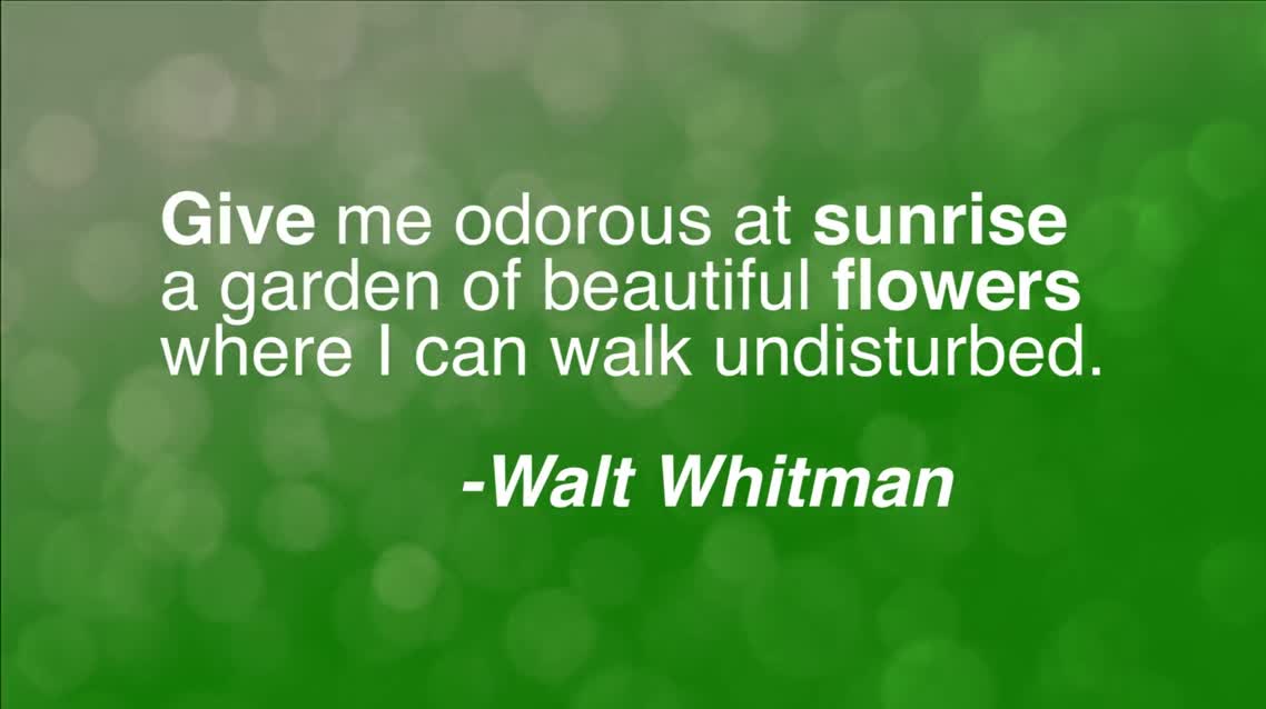 Give me odorous at sunrise