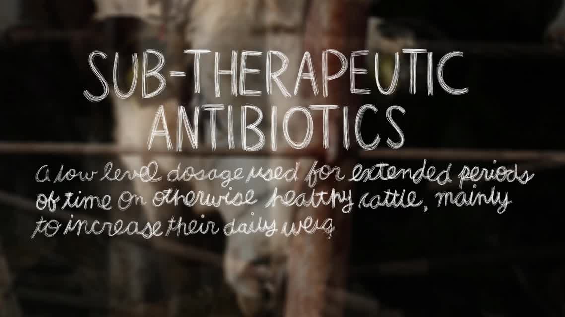 Lexicon of Sustainability - Antibiotic Free
