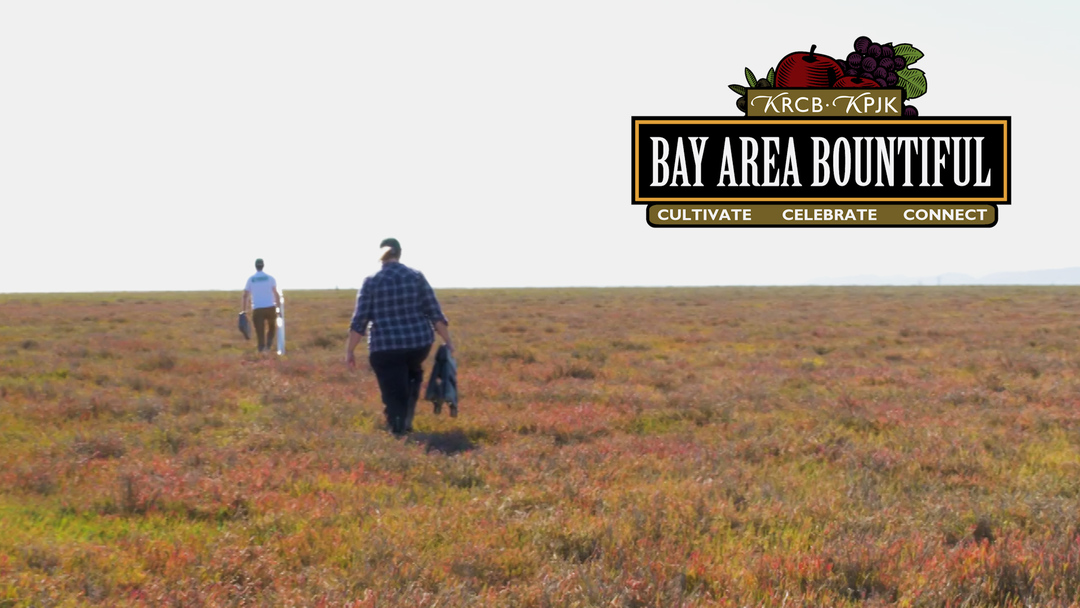 Bay Area Bountiful: Life Underground – Bay Area Soil Health