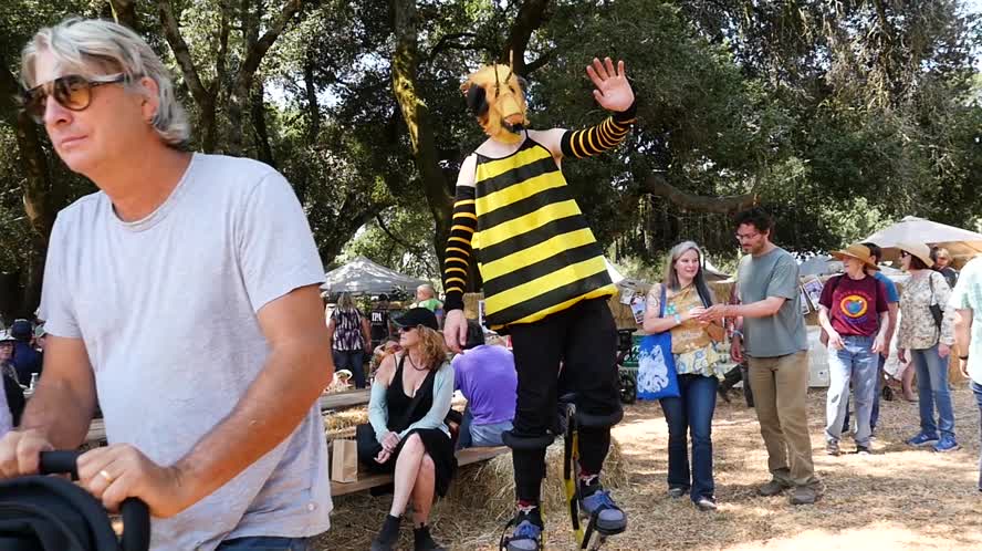 Gravenstein Apple Fair: Arts & Crafts