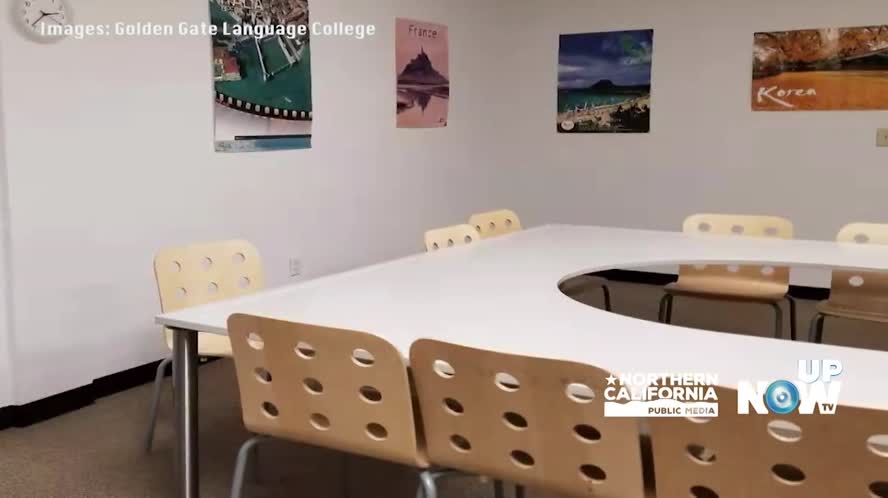 Connect The Bay: Golden Gate School