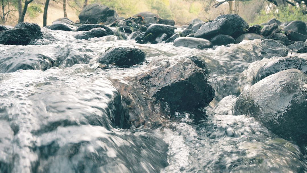 When the Waters Speak...