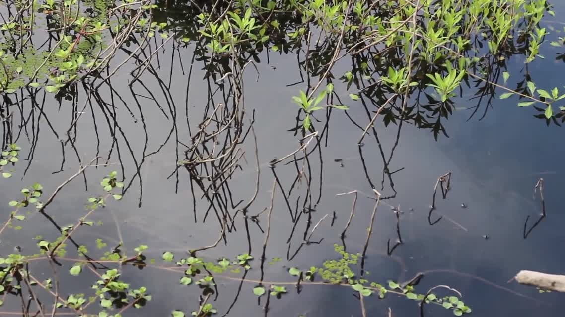 Sonoma Inspired: Ned Kahn