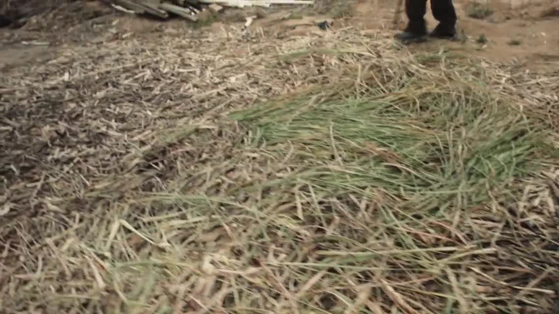 The Changing Faces of California Agriculture -California Matters