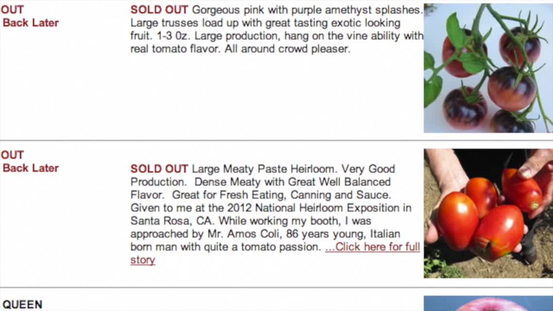 FarmShorts: Wild Boar Farms